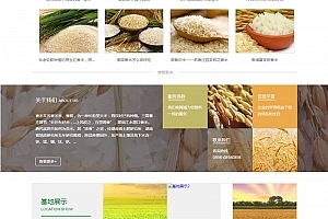 網(wǎng)站源碼